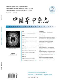 中国卒中期刊